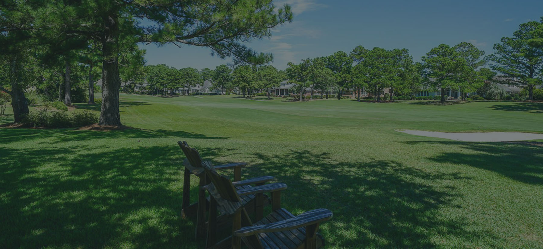 Porters Neck Plantation landscape