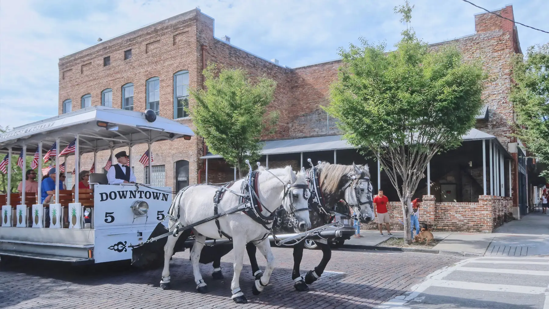 Wilmington - horse-drawn carriage downtown