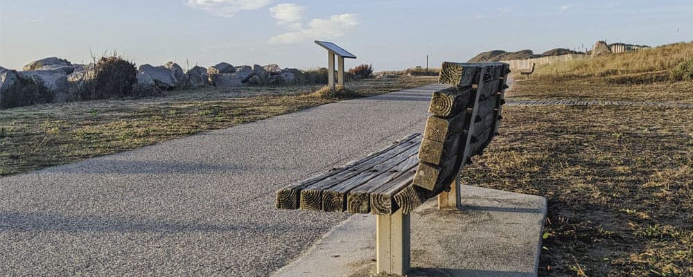Wooden bench beside a coastal walking path