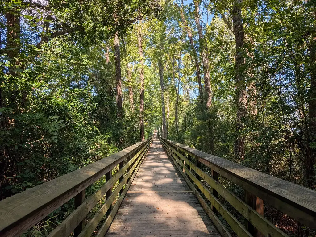 Shaded wooden boardwalk through tall trees on the Belville Riverwalk nature trail in Belville, NC