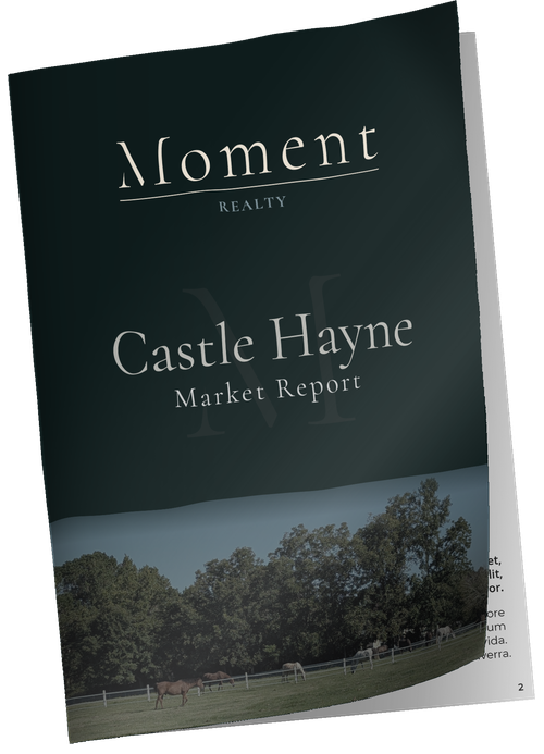 Castle Hayne market report cover preview